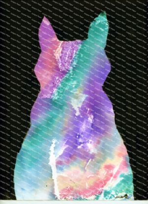 Picture of Galaxy Cat