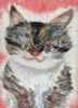Picture of Fluffin